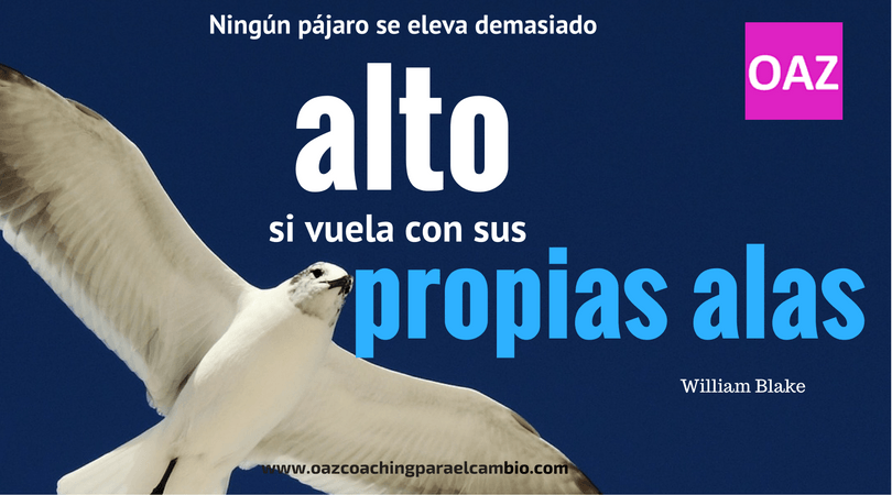 ¿Qué he aprendido cooperando?